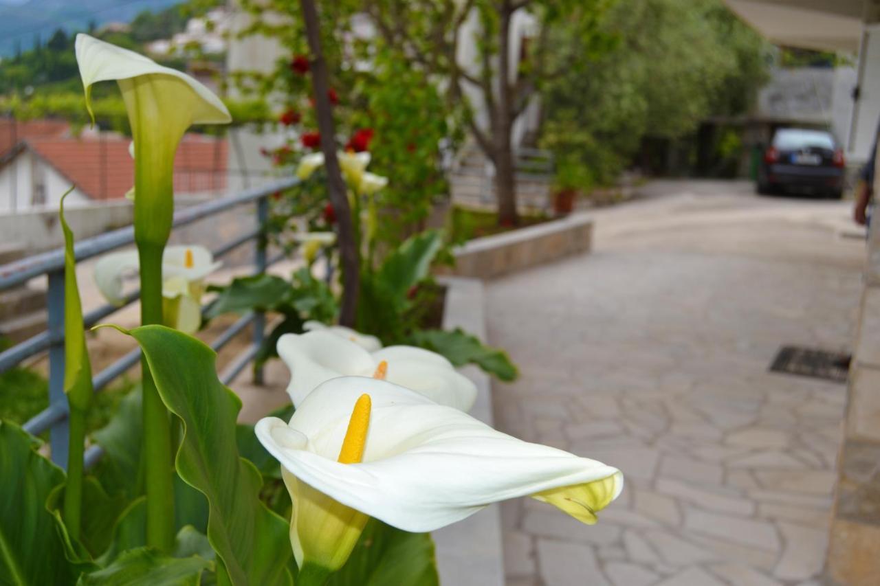 Tivat Apartments Ngoại thất bức ảnh